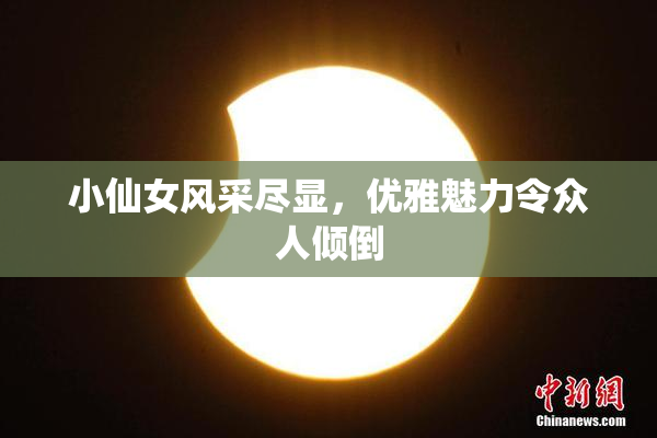 小仙女风采尽显，优雅魅力令众人倾倒