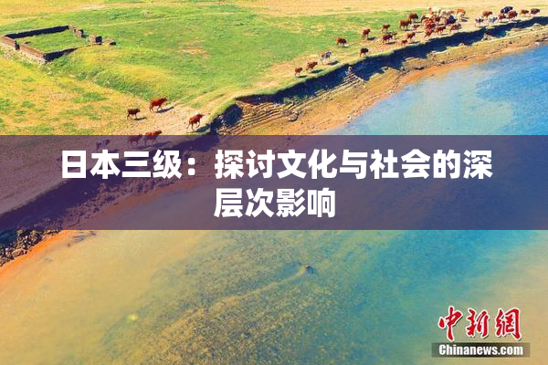 日本三级：探讨文化与社会的深层次影响