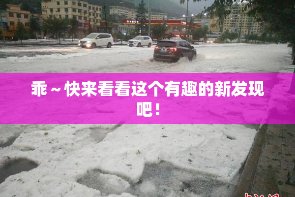 乖～快来看看这个有趣的新发现吧！