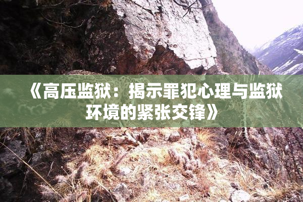 《高压监狱：揭示罪犯心理与监狱环境的紧张交锋》