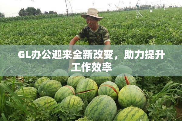 GL办公迎来全新改变，助力提升工作效率
