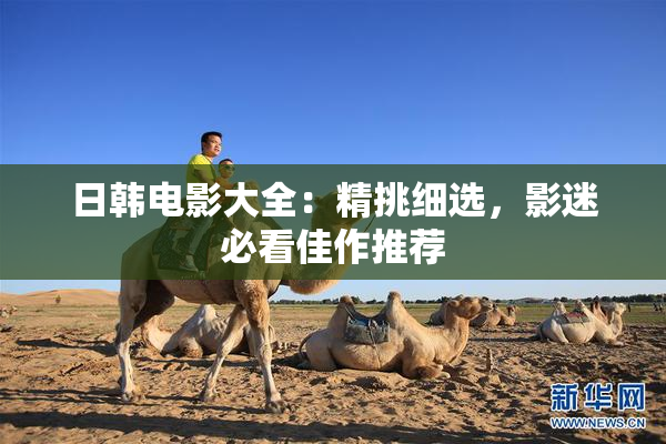 日韩电影大全：精挑细选，影迷必看佳作推荐