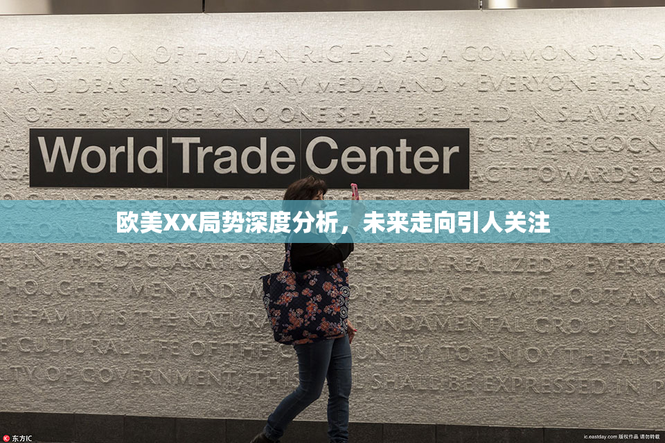 欧美XX局势深度分析，未来走向引人关注