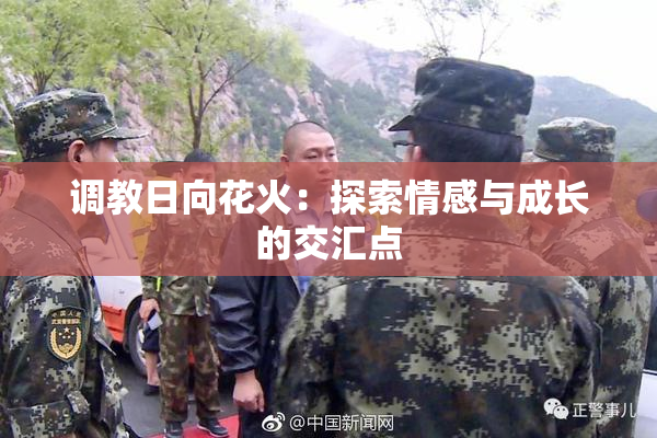 调教日向花火：探索情感与成长的交汇点