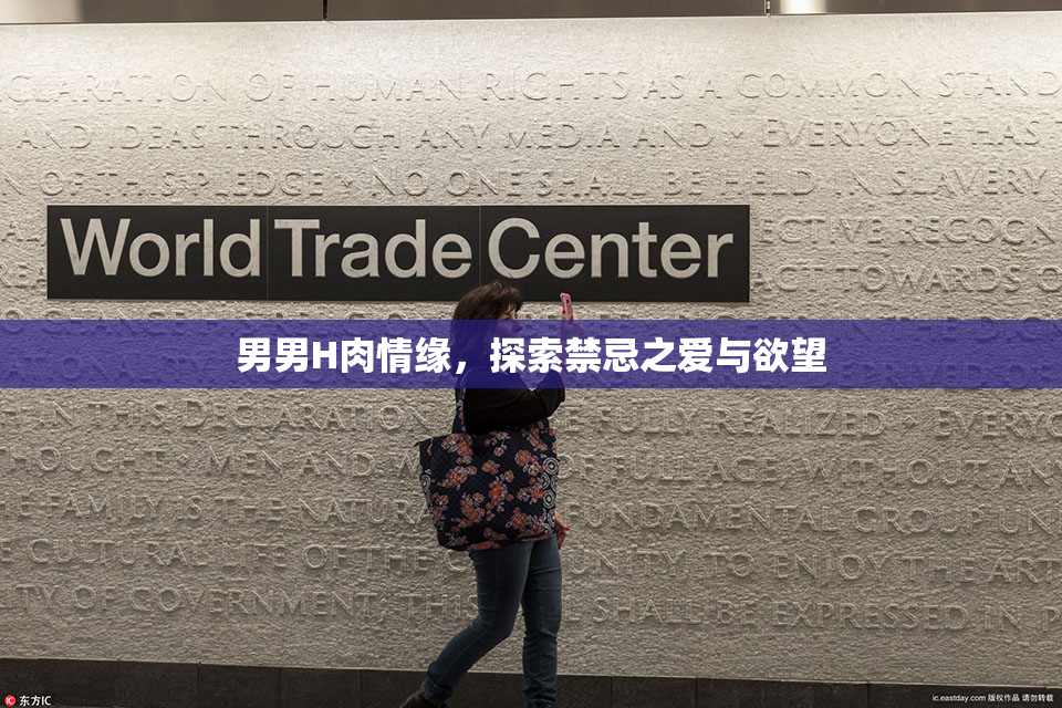 男男H肉情缘，探索禁忌之爱与欲望