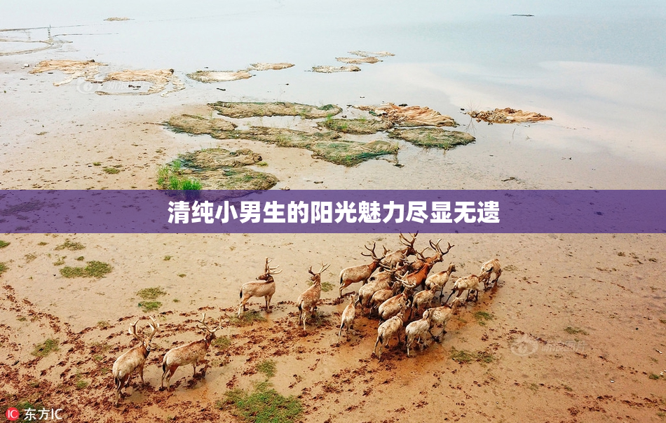 清纯小男生的阳光魅力尽显无遗