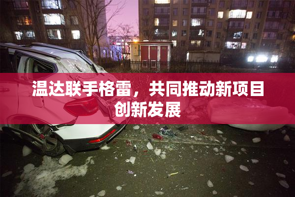 温达联手格雷，共同推动新项目创新发展