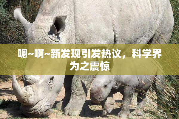 嗯~啊~新发现引发热议，科学界为之震惊
