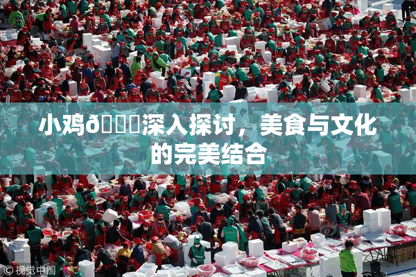 小鸡🐔深入探讨，美食与文化的完美结合