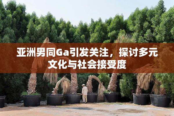 亚洲男同Ga引发关注，探讨多元文化与社会接受度