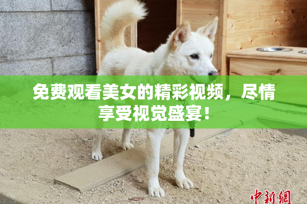 免费观看美女的精彩视频，尽情享受视觉盛宴！
