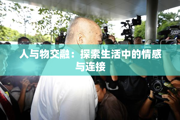 人与物交融：探索生活中的情感与连接