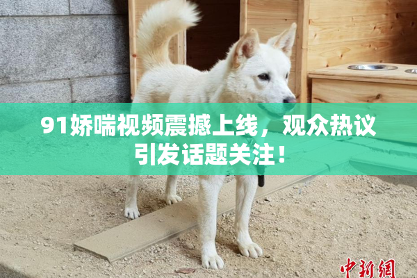 91娇喘视频震撼上线，观众热议引发话题关注！