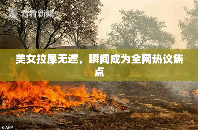 美女拉屎无遮，瞬间成为全网热议焦点