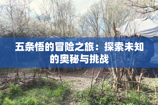 五条悟的冒险之旅：探索未知的奥秘与挑战