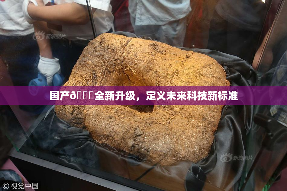 国产🔞全新升级，定义未来科技新标准