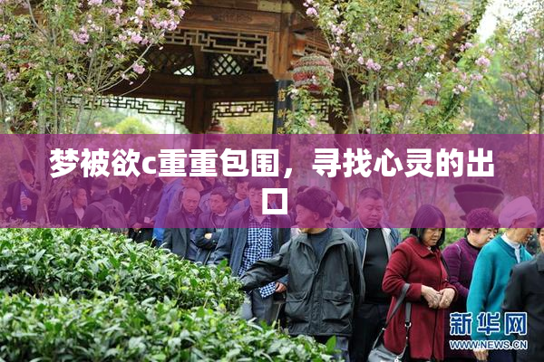 梦被欲c重重包围，寻找心灵的出口