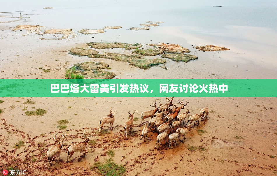 巴巴塔大雷美引发热议，网友讨论火热中