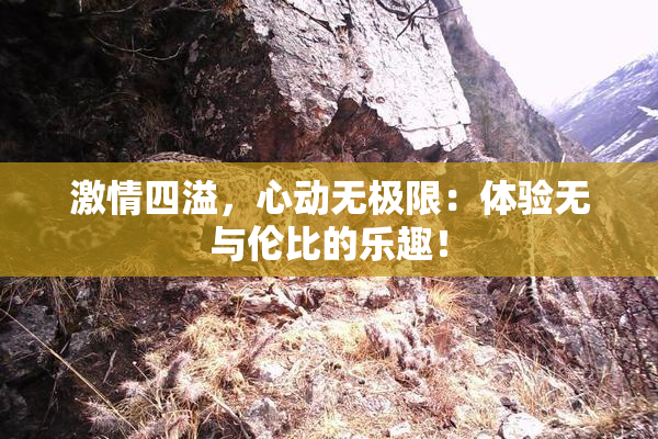 激情四溢，心动无极限：体验无与伦比的乐趣！