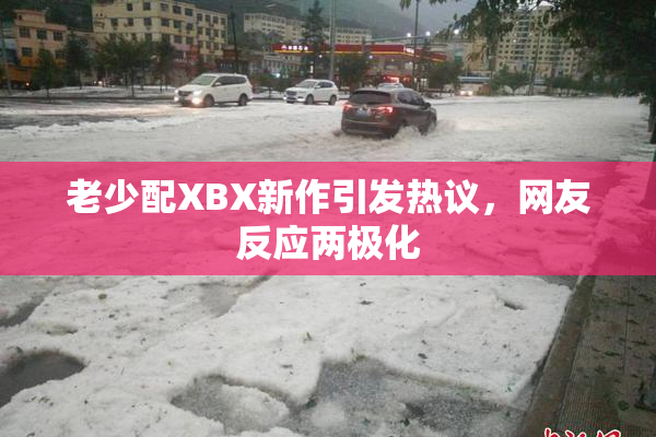 老少配XBX新作引发热议，网友反应两极化