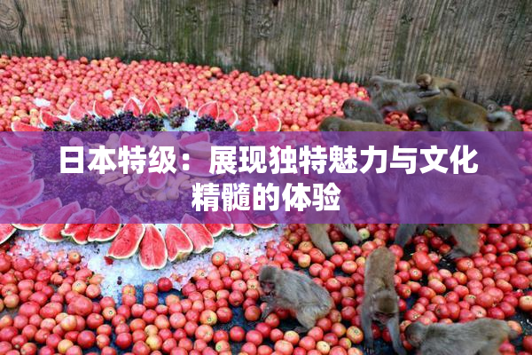 日本特级：展现独特魅力与文化精髓的体验