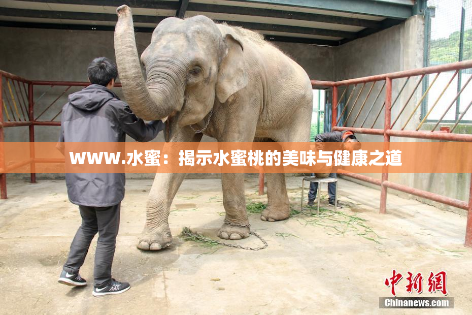 WWW.水蜜：揭示水蜜桃的美味与健康之道