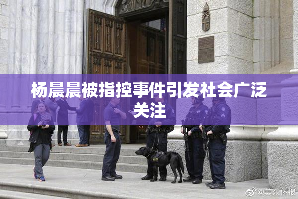 杨晨晨被指控事件引发社会广泛关注