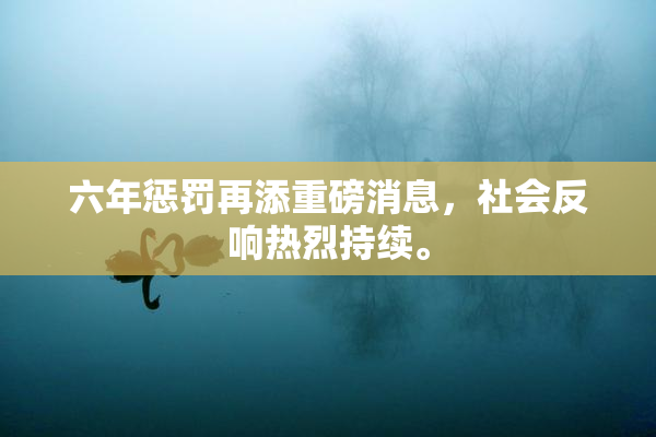 六年惩罚再添重磅消息，社会反响热烈持续。