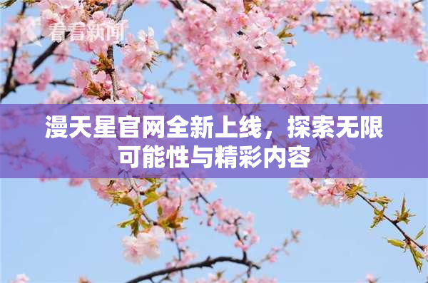 漫天星官网全新上线，探索无限可能性与精彩内容