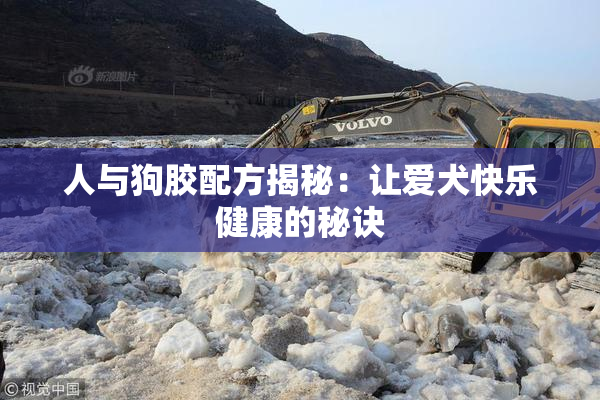 人与狗胶配方揭秘：让爱犬快乐健康的秘诀