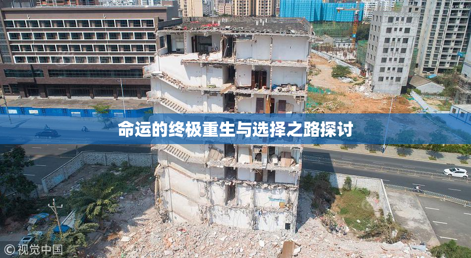 命运的终极重生与选择之路探讨