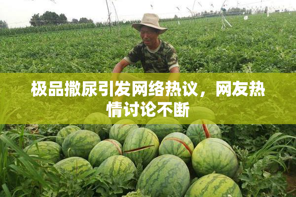 极品撒尿引发网络热议，网友热情讨论不断