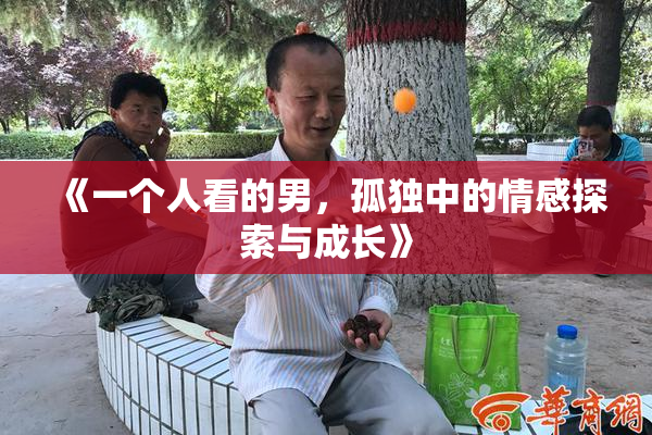 《一个人看的男，孤独中的情感探索与成长》
