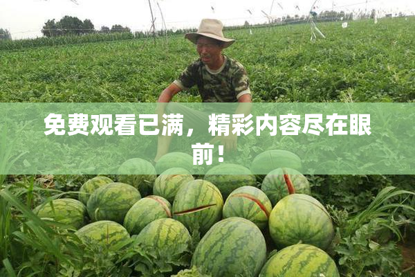 免费观看已满，精彩内容尽在眼前！