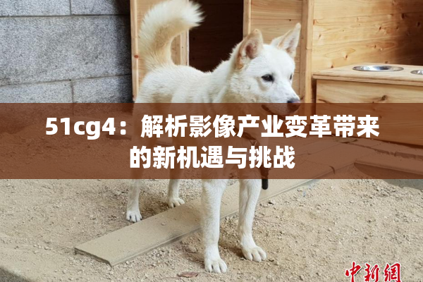 51cg4：解析影像产业变革带来的新机遇与挑战