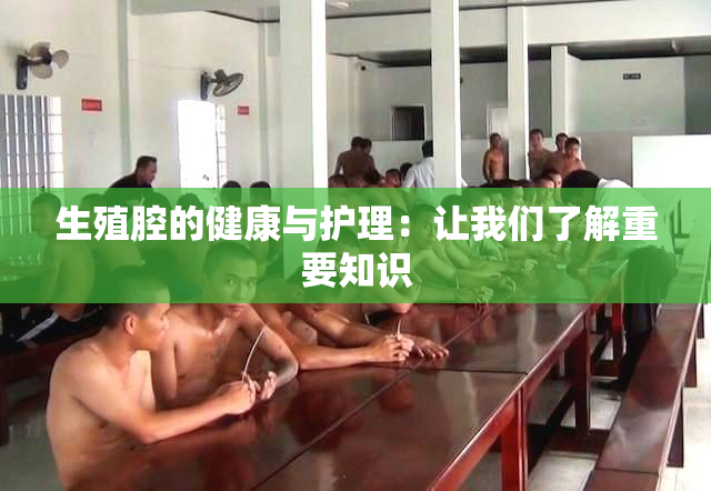 生殖腔的健康与护理：让我们了解重要知识