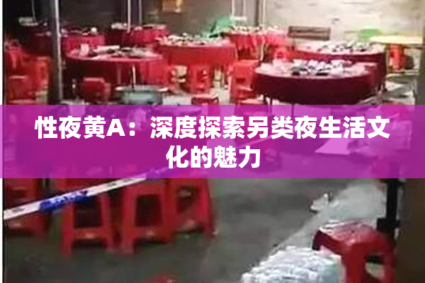 性夜黄A：深度探索另类夜生活文化的魅力