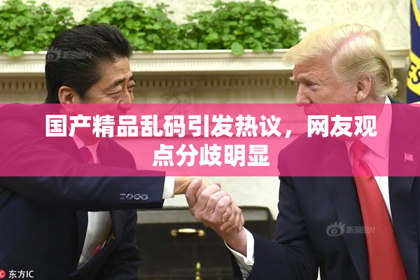 国产精品乱码引发热议，网友观点分歧明显