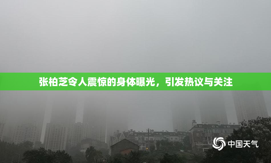张柏芝令人震惊的身体曝光，引发热议与关注