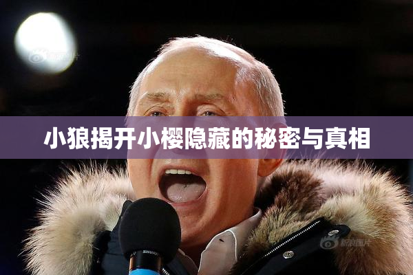 小狼揭开小樱隐藏的秘密与真相