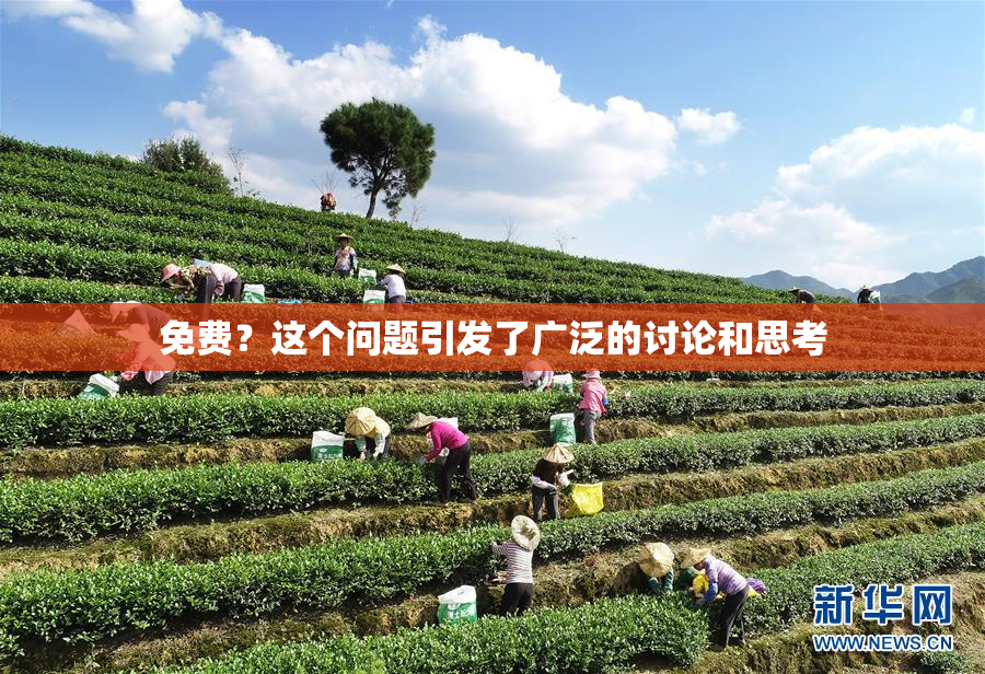 免费？这个问题引发了广泛的讨论和思考