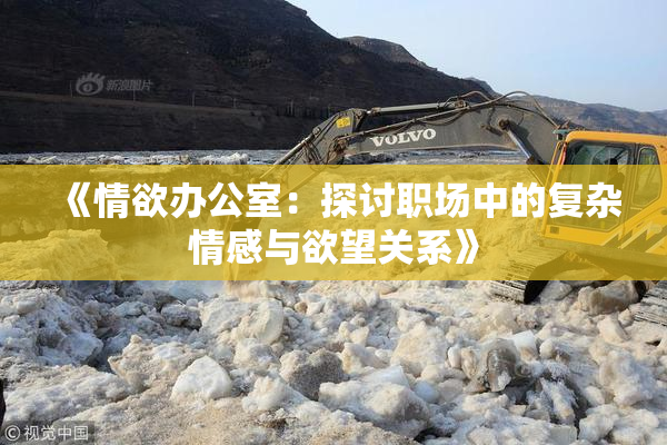 《情欲办公室：探讨职场中的复杂情感与欲望关系》