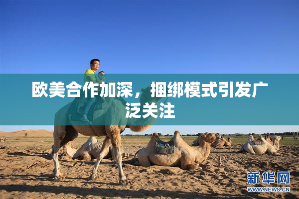 欧美合作加深，捆绑模式引发广泛关注