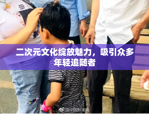 二次元文化绽放魅力，吸引众多年轻追随者