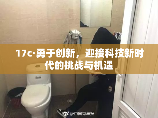 17c·勇于创新，迎接科技新时代的挑战与机遇