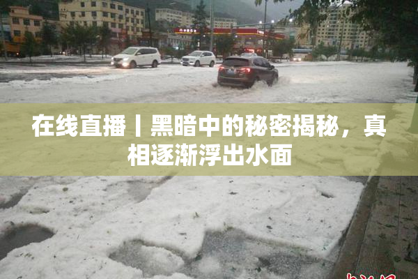 在线直播丨黑暗中的秘密揭秘，真相逐渐浮出水面
