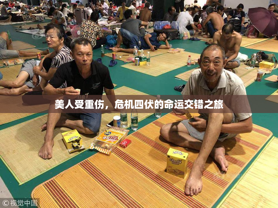 美人受重伤，危机四伏的命运交错之旅