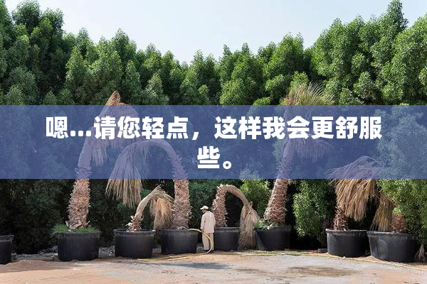 嗯...请您轻点，这样我会更舒服些。