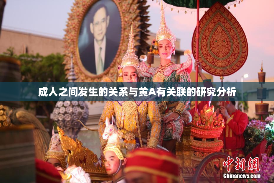 成人之间发生的关系与黄A有关联的研究分析