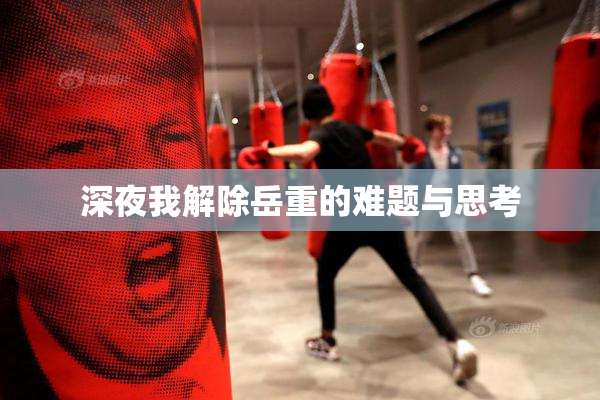 深夜我解除岳重的难题与思考
